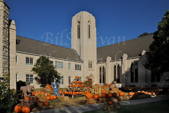 Fall Fest 2