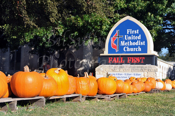 Fall Fest 1