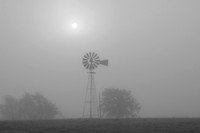 Foggy Morning Windmill, outside Seguin, Texas