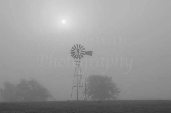 Foggy Morning Windmill, outside Seguin, Texas