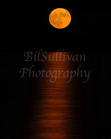 Full Moon Rising