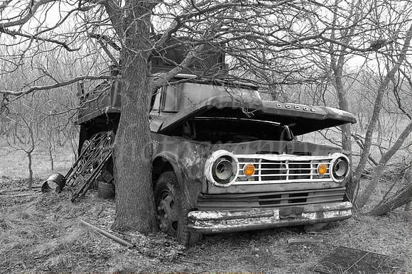Old Abandoned Truck